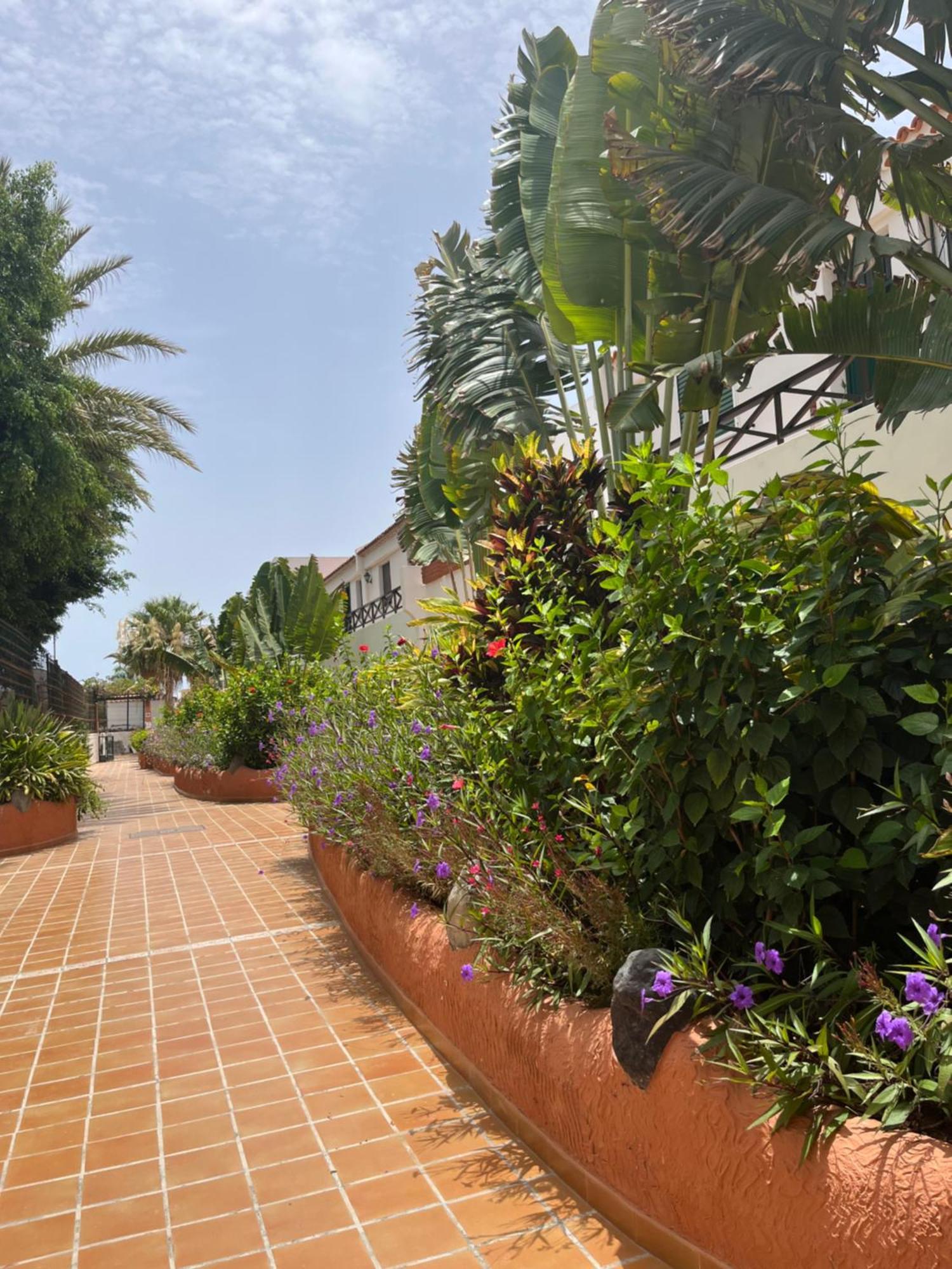 Casa Parque Don Jose 2 Apartment Costa Del Silencio Ngoại thất bức ảnh
