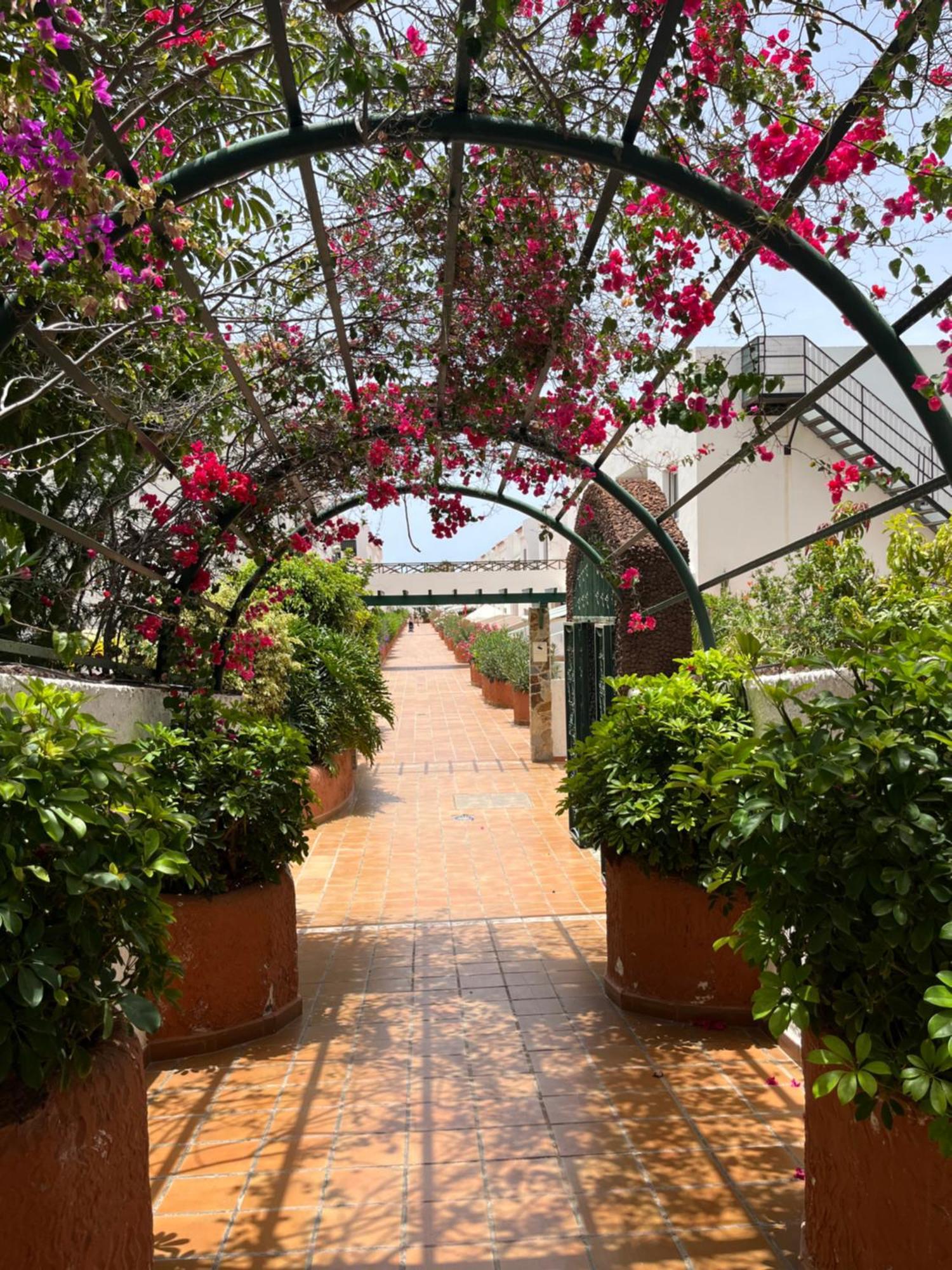 Casa Parque Don Jose 2 Apartment Costa Del Silencio Ngoại thất bức ảnh